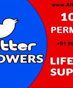 I will provide 100 twitter followers in 24 hours