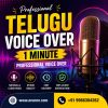 Telugu Voice Over Service