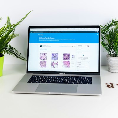 Low cost website design for a professional small business website
